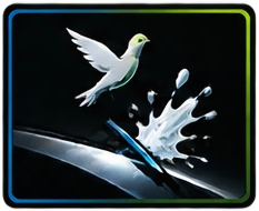 Bird dropping splash on coated paint, representing resistance to bird droppings and tree sap